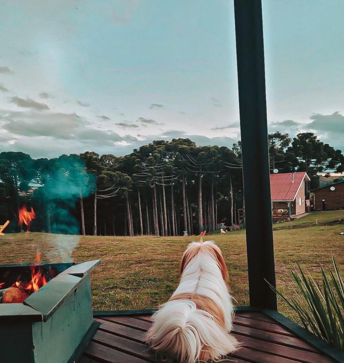 Ecomoradas Cambara do Sul